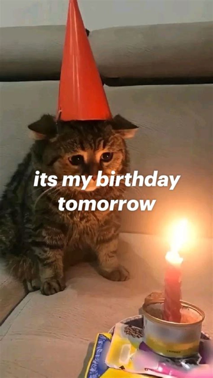 Unveiling The Power Of "My Birthday Is Tomorrow" Quotes: Discoveries And Insights